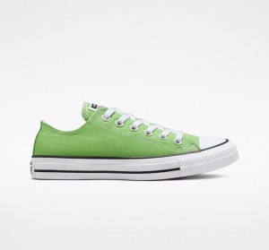 Converse Chuck Taylor All Star Seasonal Color Virtual Matcha | 6817-RIKPE