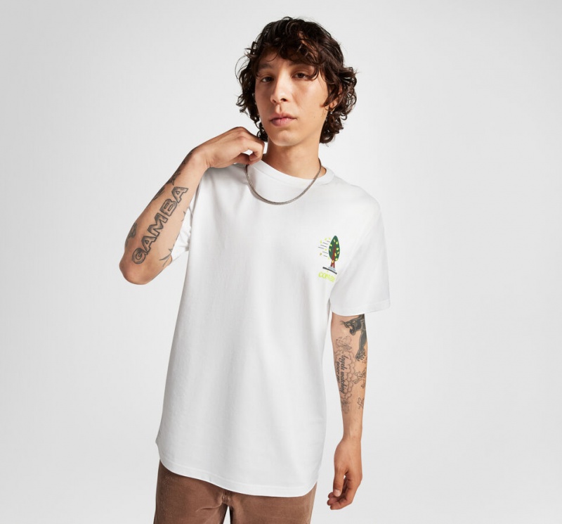 Converse All Star Tree T-shirt Wit | 5928-UXLMB