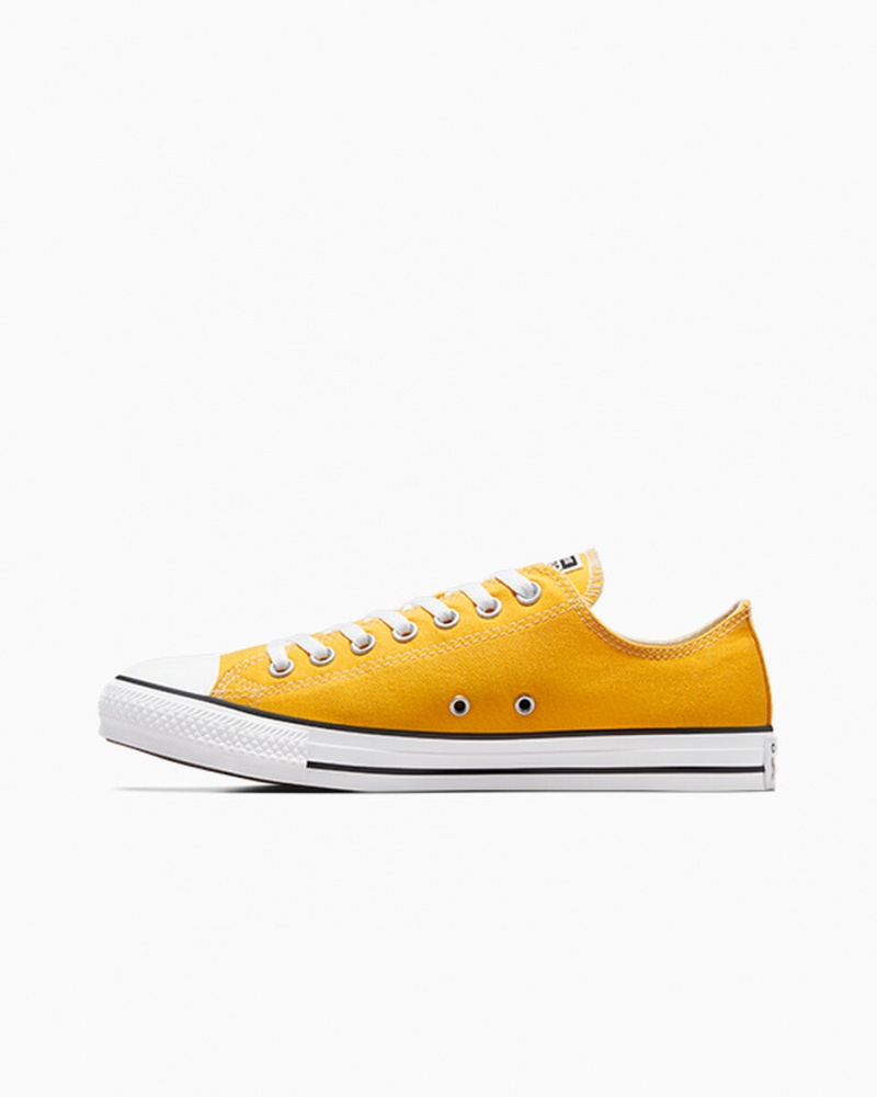 Converse Chuck Taylor All Star Citroen | 2013-HPEIN