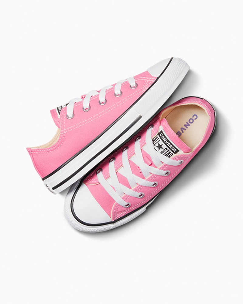 Converse Chuck Taylor All Star Roze | 2819-BMQRY