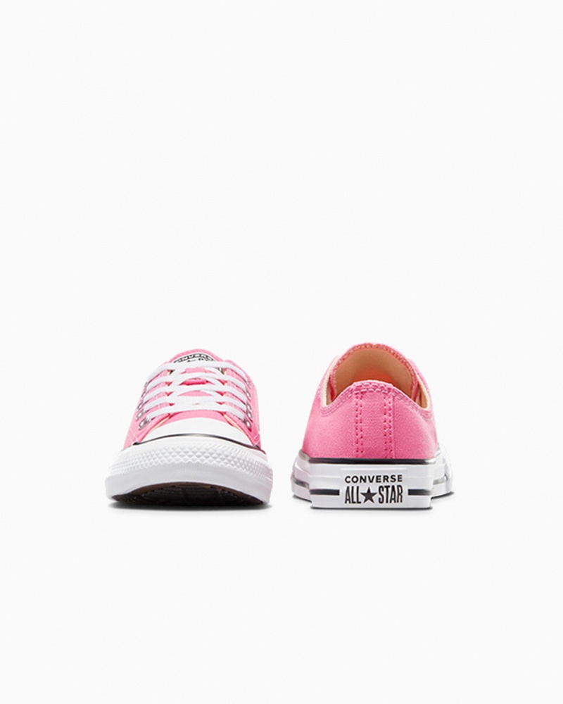 Converse Chuck Taylor All Star Roze | 2819-BMQRY