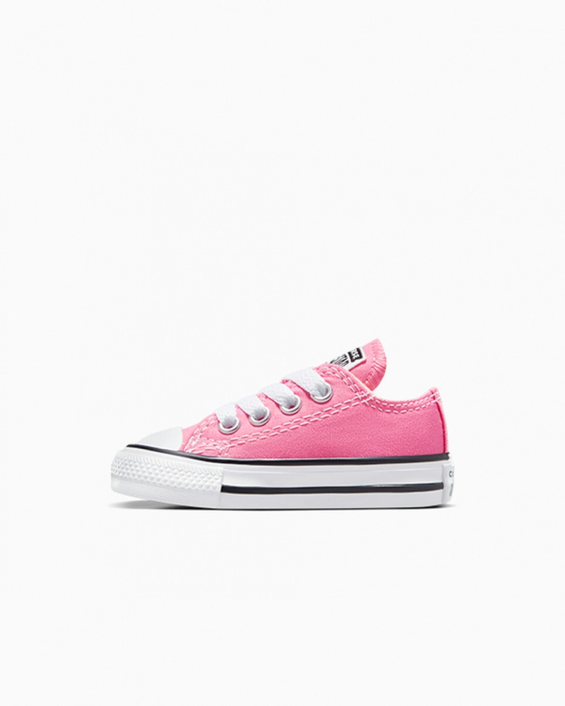 Converse Chuck Taylor All Star Roze | 3728-TKSLY