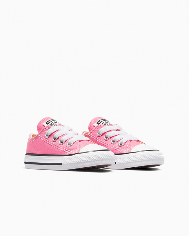 Converse Chuck Taylor All Star Roze | 3728-TKSLY