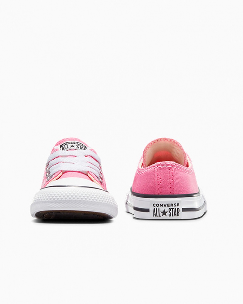 Converse Chuck Taylor All Star Roze | 3728-TKSLY