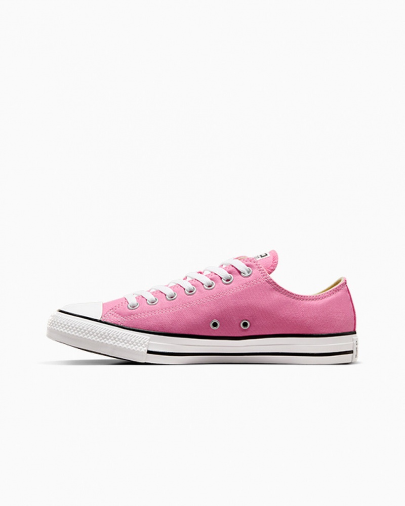 Converse Chuck Taylor All Star Roze | 5790-ISLNU