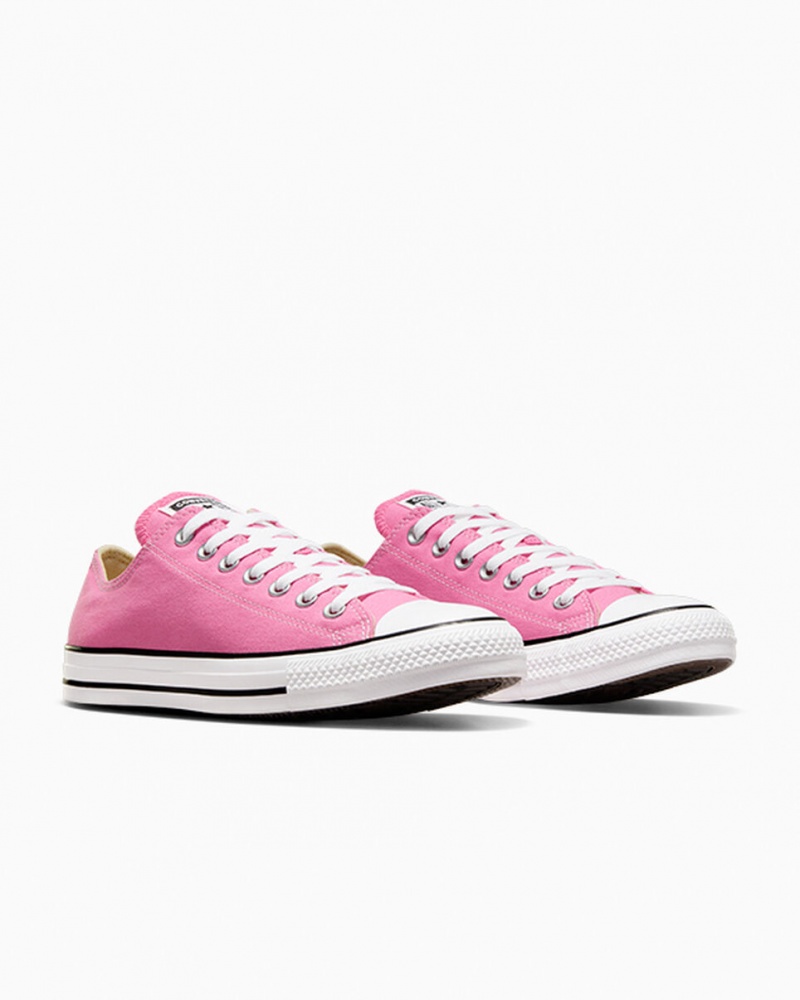 Converse Chuck Taylor All Star Roze | 5790-ISLNU