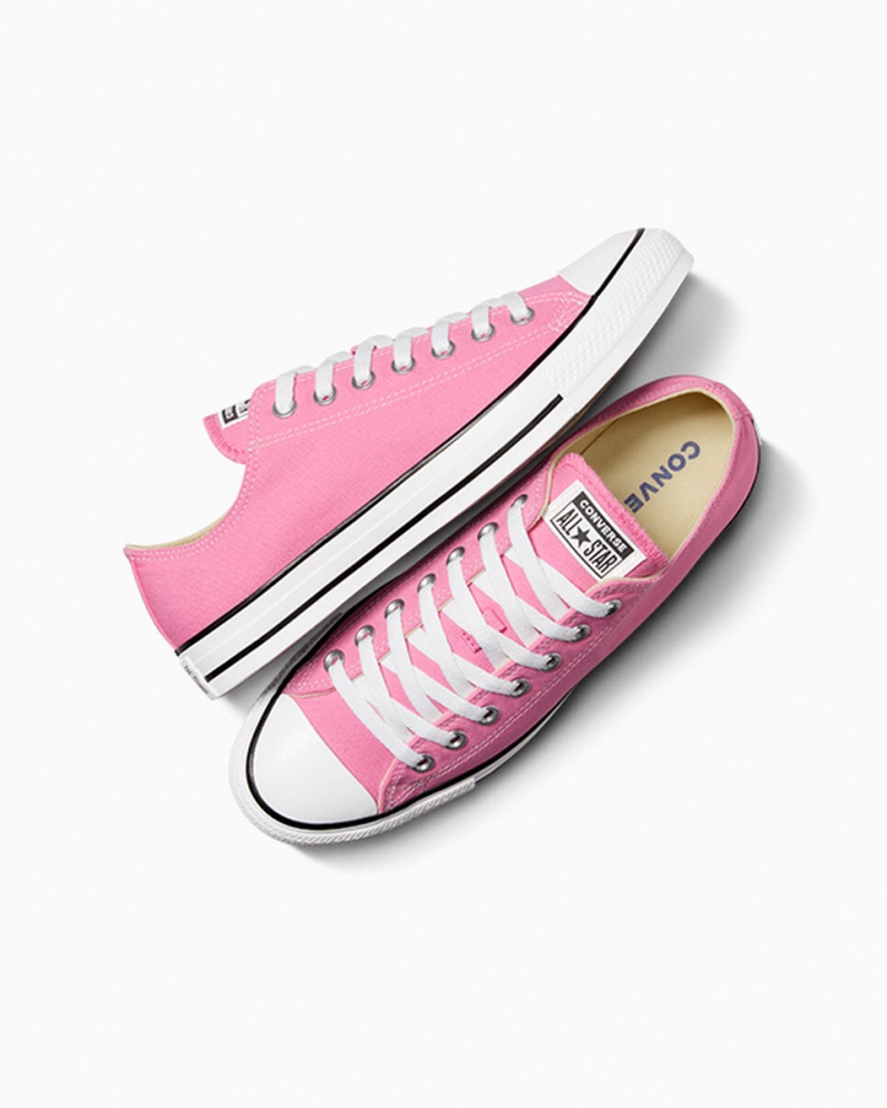 Converse Chuck Taylor All Star Roze | 5790-ISLNU