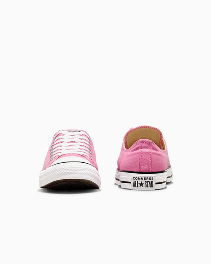 Converse Chuck Taylor All Star Roze | 5790-ISLNU