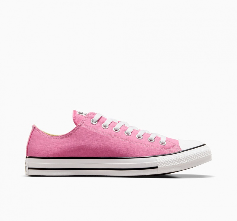 Converse Chuck Taylor All Star Roze | 5790-ISLNU