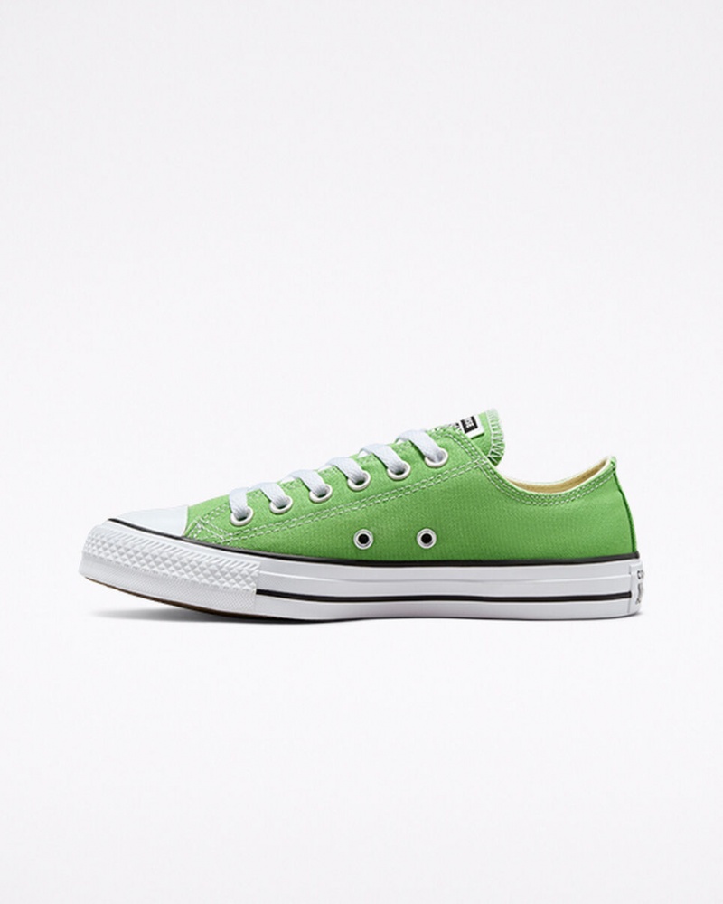 Converse Chuck Taylor All Star Seasonal Color Virtual Matcha | 6817-RIKPE