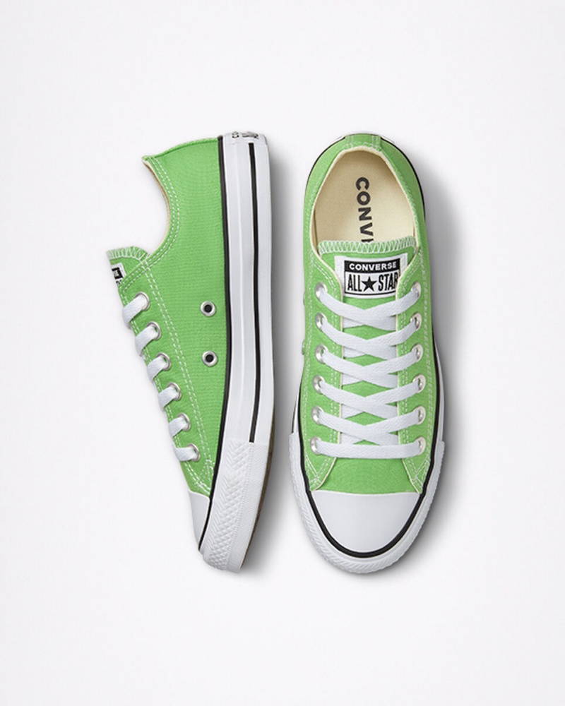 Converse Chuck Taylor All Star Seasonal Color Virtual Matcha | 6817-RIKPE