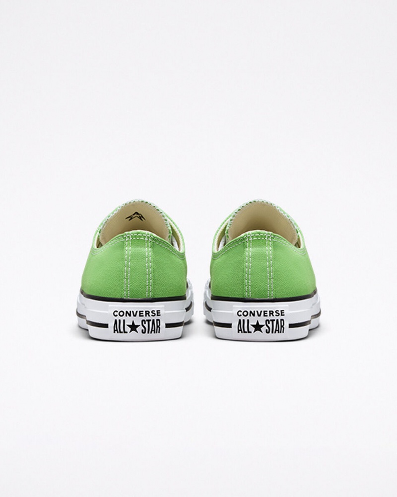 Converse Chuck Taylor All Star Seasonal Color Virtual Matcha | 8769-CPQVS