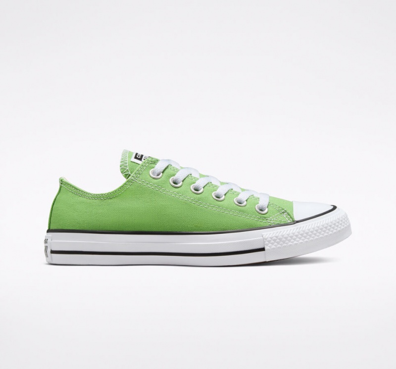 Converse Chuck Taylor All Star Seasonal Color Virtual Matcha | 8769-CPQVS