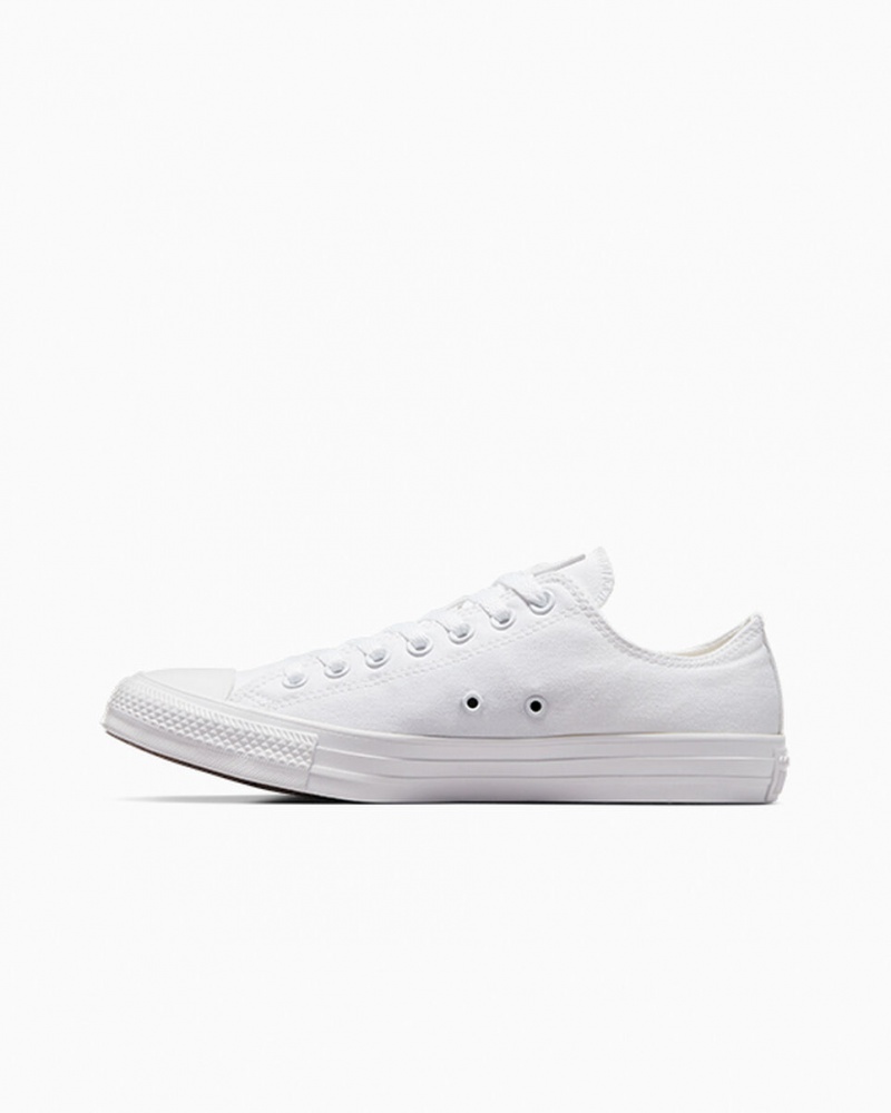 Converse Chuck Taylor All Star Wit | 4023-APBYT