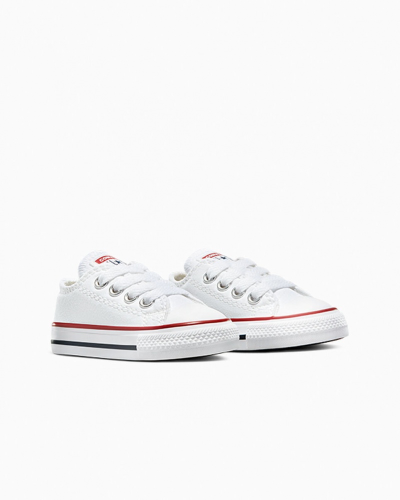 Converse Chuck Taylor All Star Wit | 8214-TRLXK