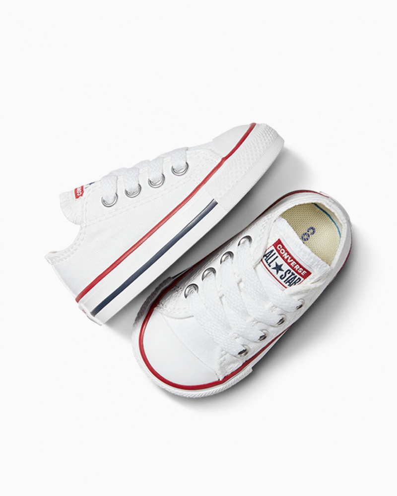 Converse Chuck Taylor All Star Wit | 8214-TRLXK